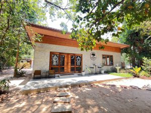slow bar cafe