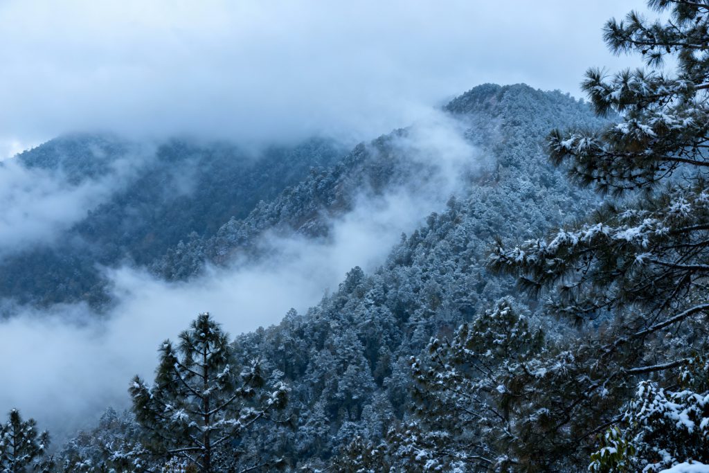 ฤดูหนาวไทย