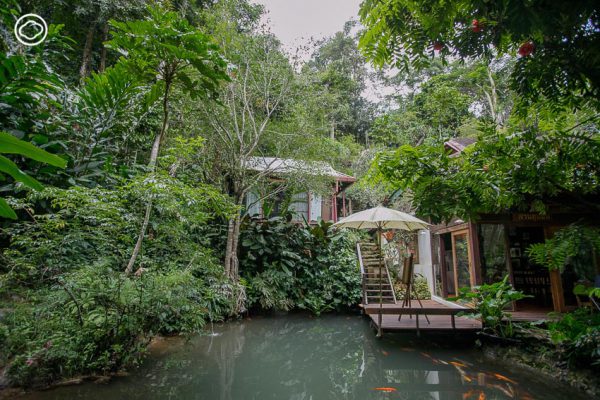 tune in home and garden