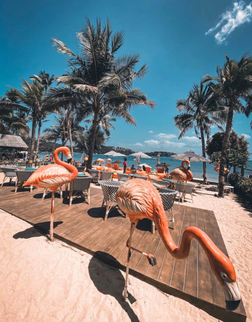 Flamingo Phuket