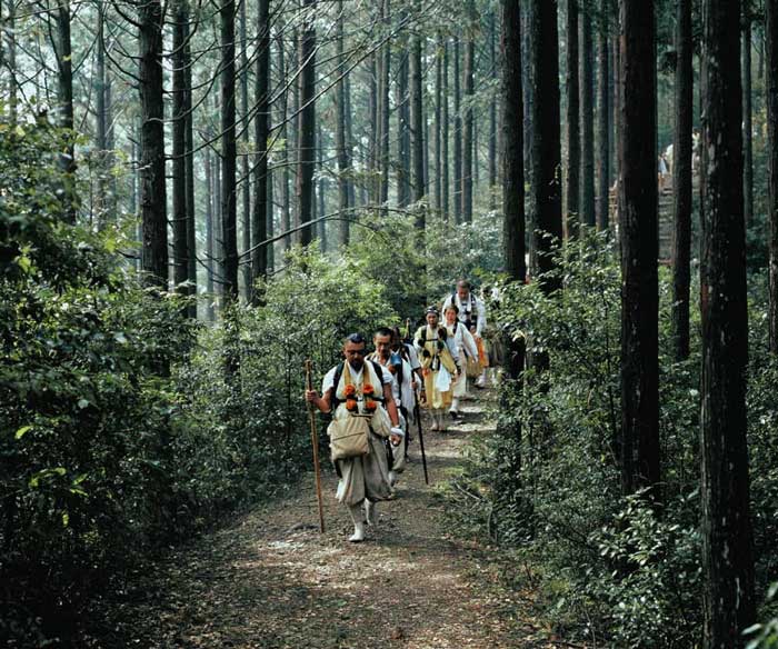 Kumano Kodo Wakayama