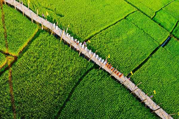 “Su Tong Pae brigde