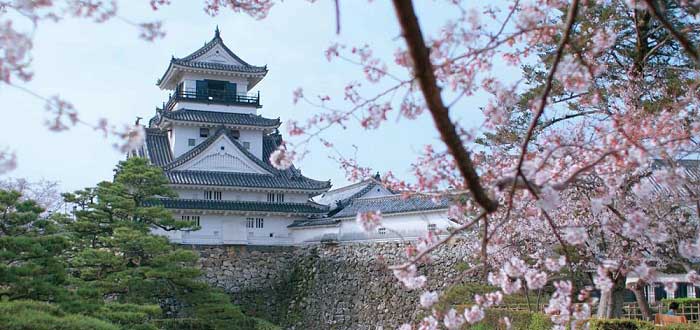 kochi castle