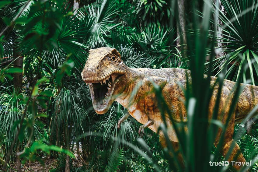 Phu  Wiang Dinosaur Museum