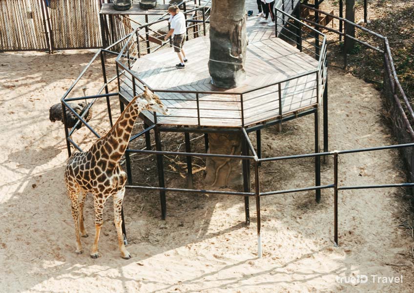 KhonKaen Zoo